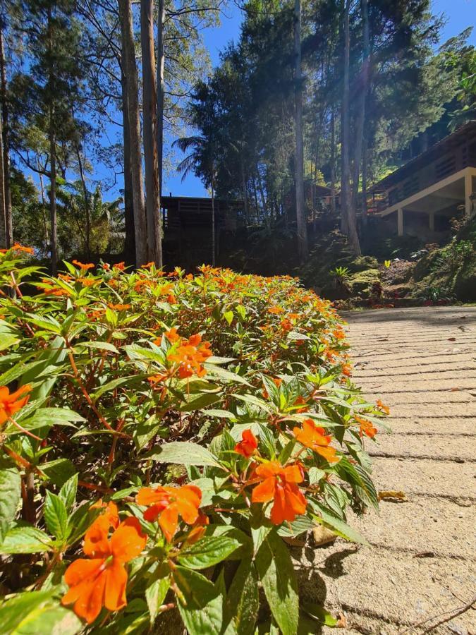 Recanto Dos Sonhos Guest House Lumiar Exterior foto